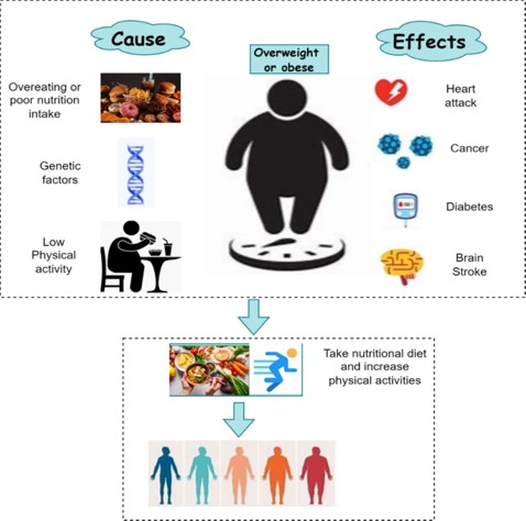 Obesity Risk Classification Using Machine Learning image